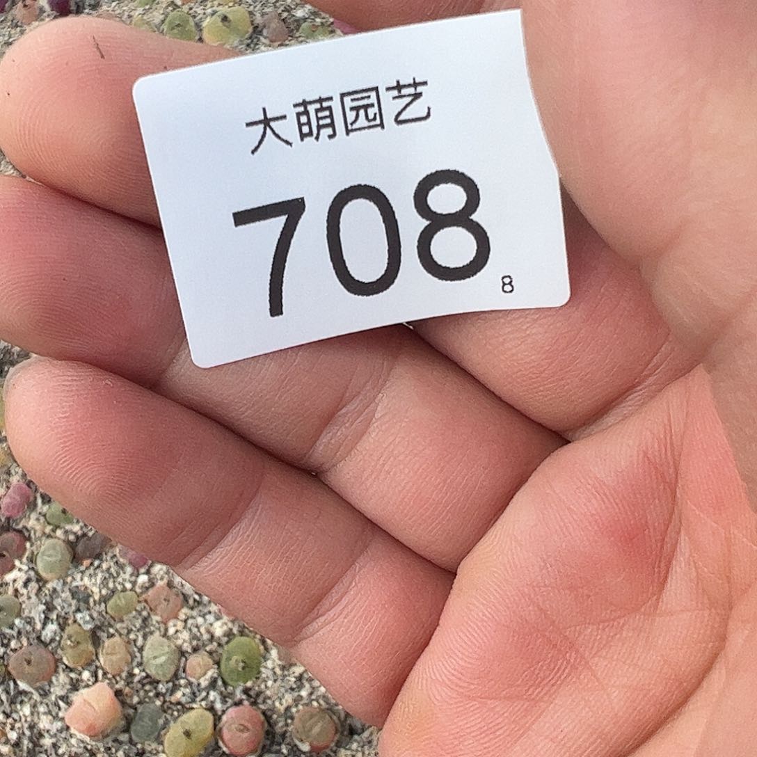 0000708 清框脱土发无售后