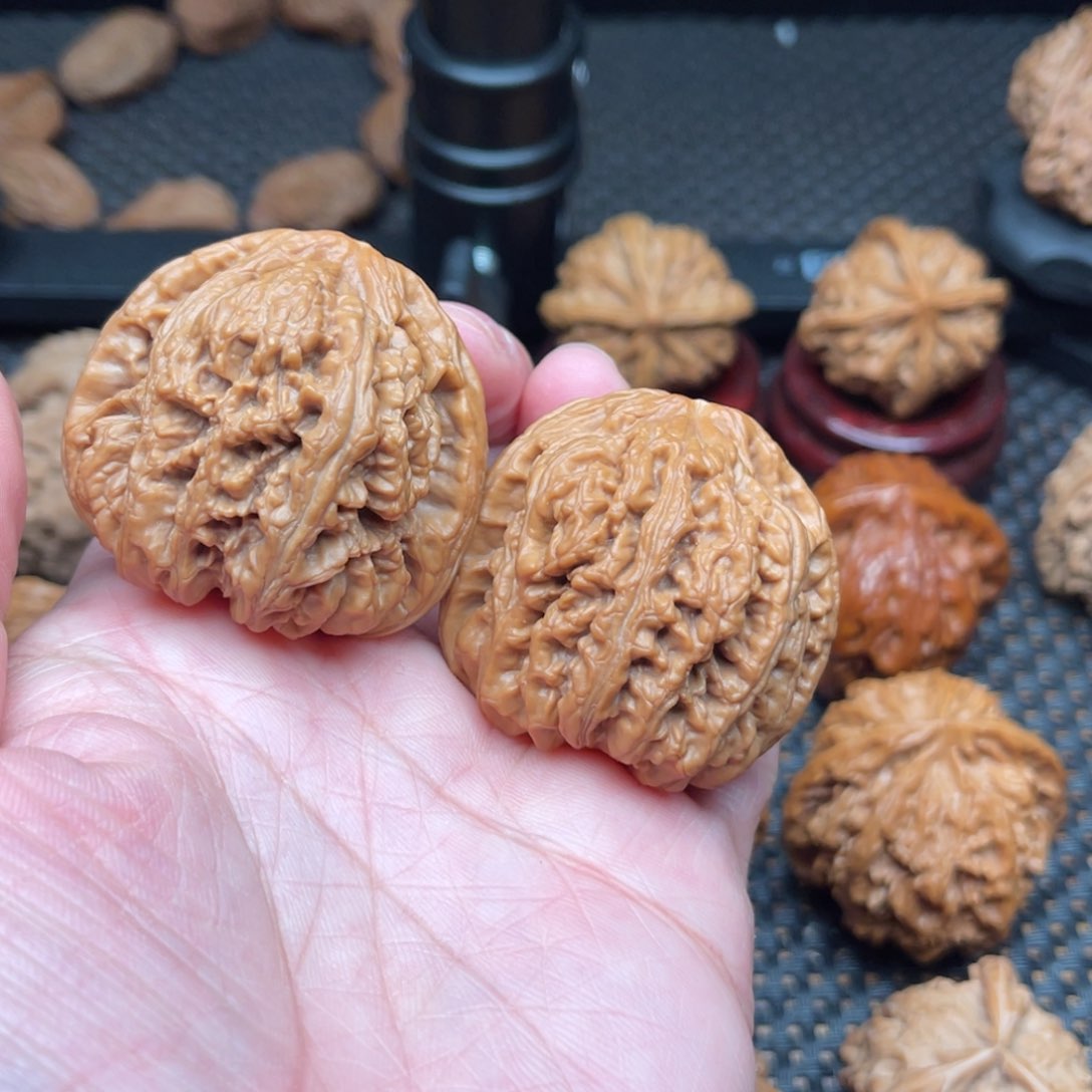 文玩核桃吊坠42尺大粗筋