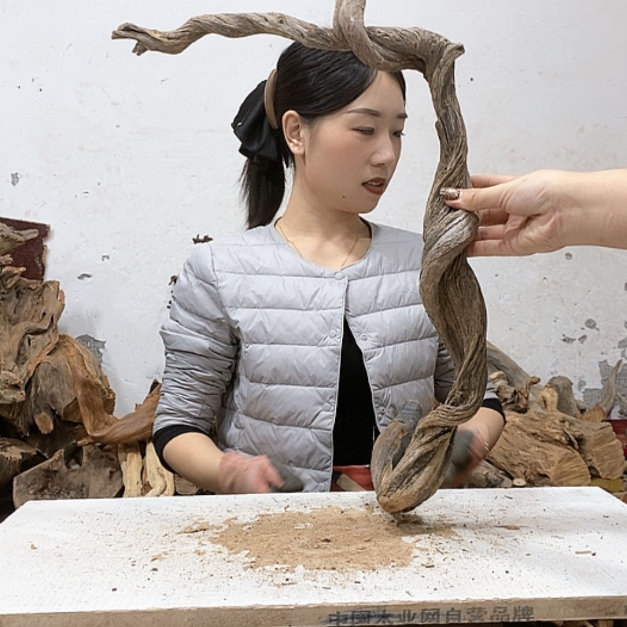 【闪购商品】柏木圣**常我们都是好孩子