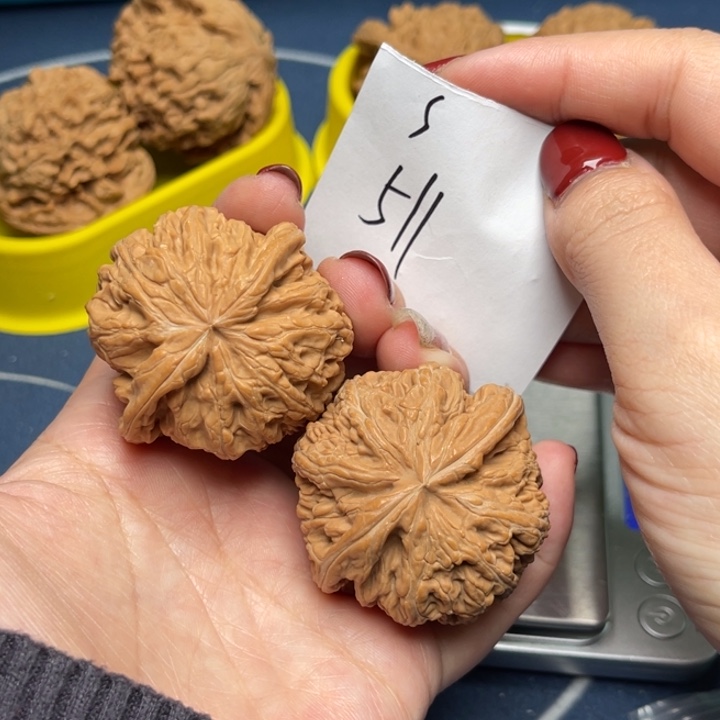 文玩核桃把件粗筋45