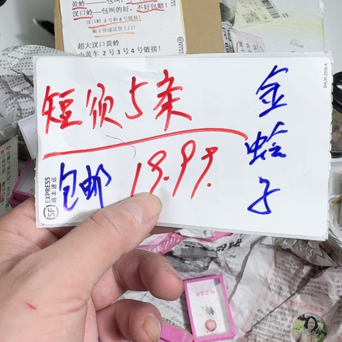 用***5蝈蝈我也想要这样