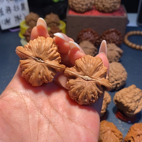 文玩核桃把件文玩白狮子全品40尺