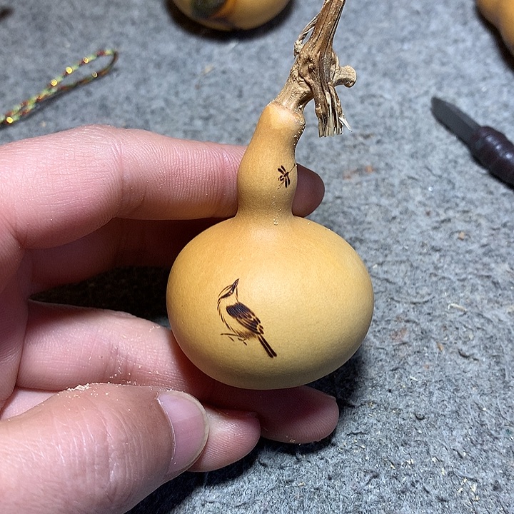 小鸟小鸟小鸟小鸟