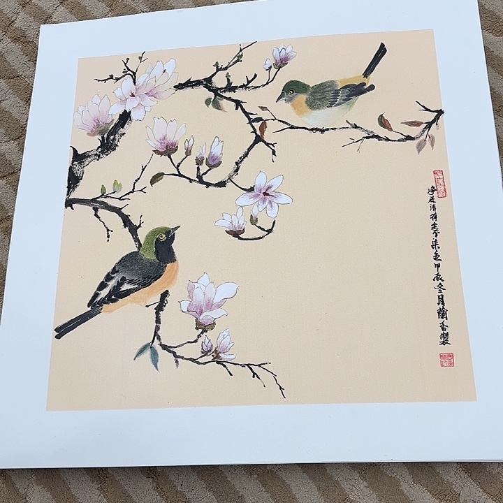 国画花鸟等多种鸟类的栖息地和栖息地