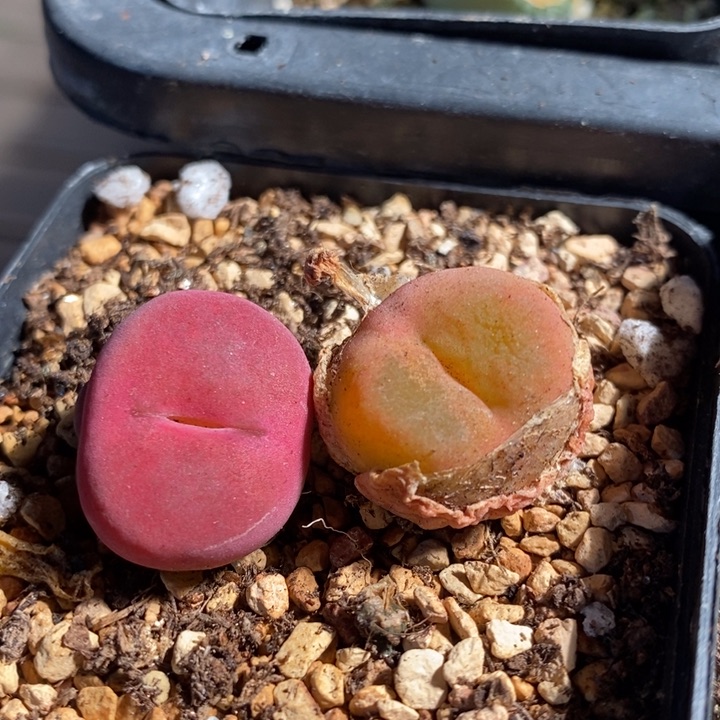 25211一组一组一组