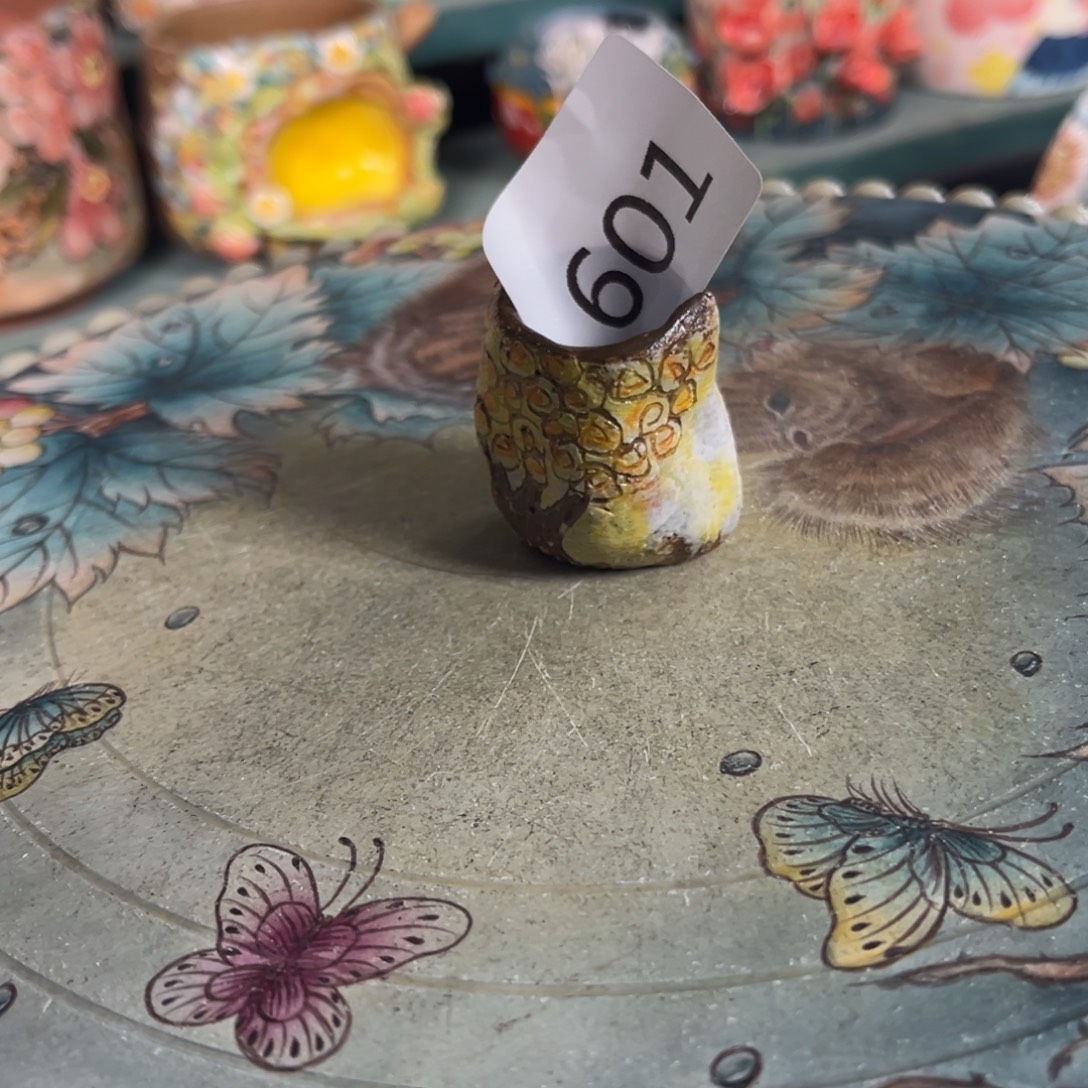 M***M601多肉花盆   1个