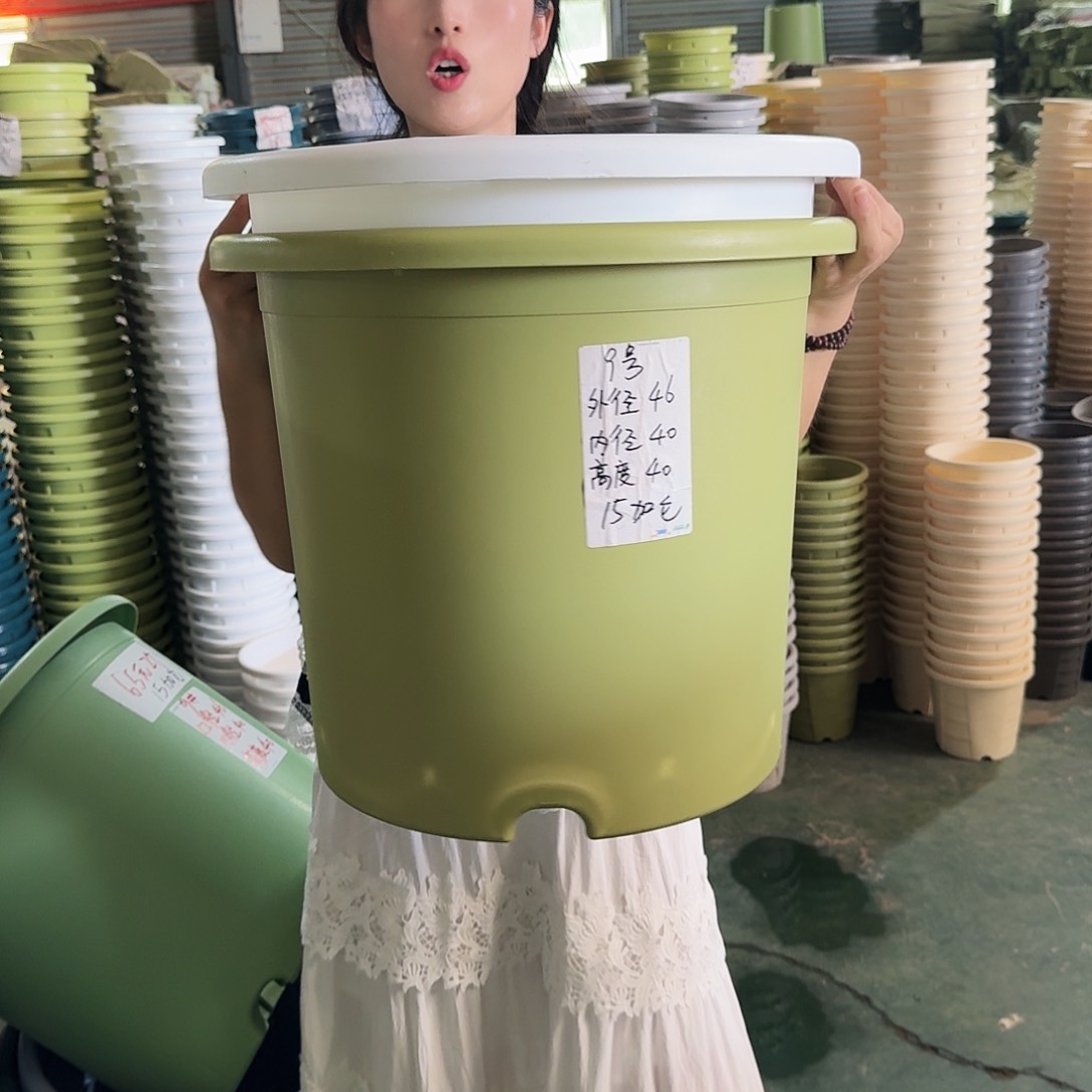 微瑕9#口径46无拖果绿3个