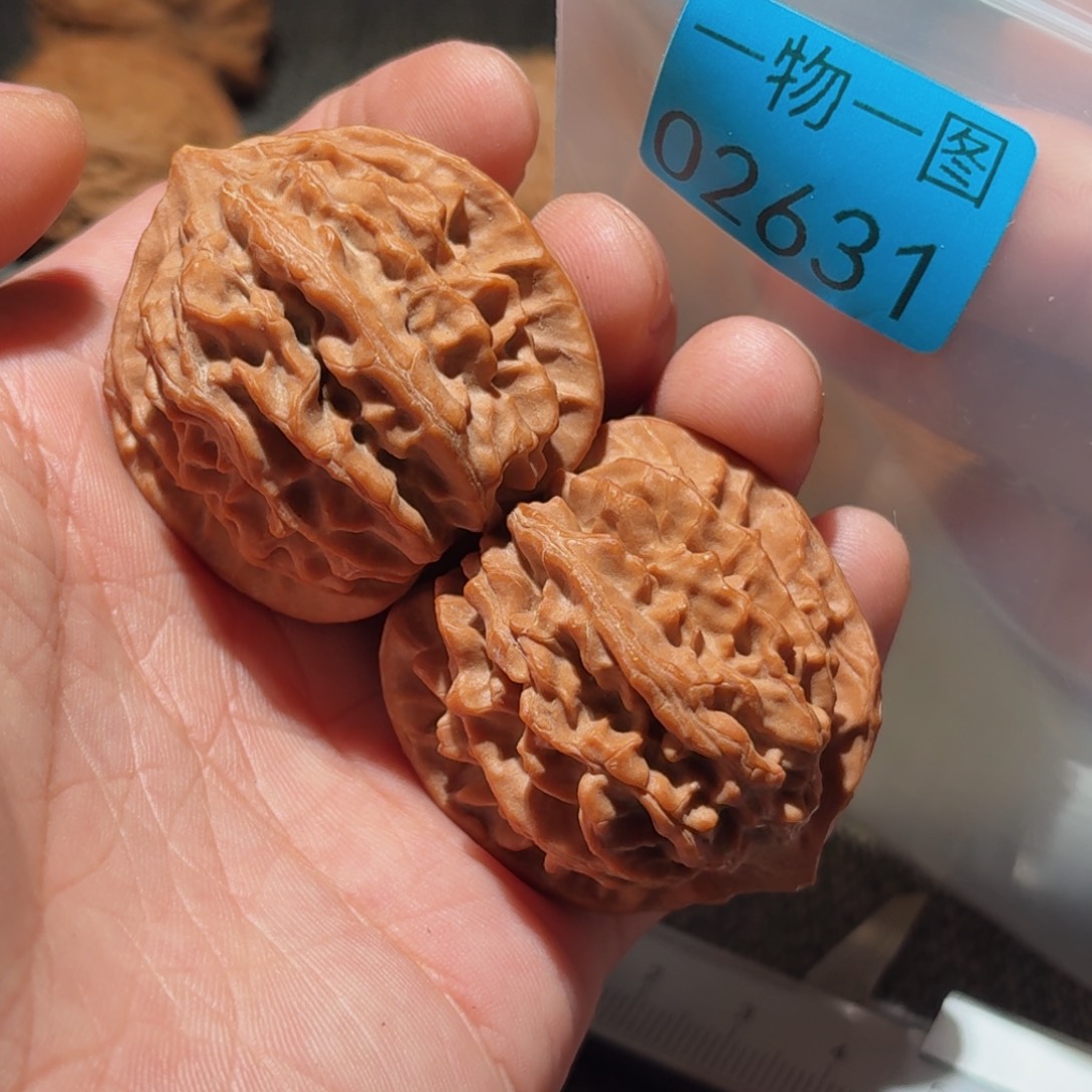 文玩核桃把件红珊瑚