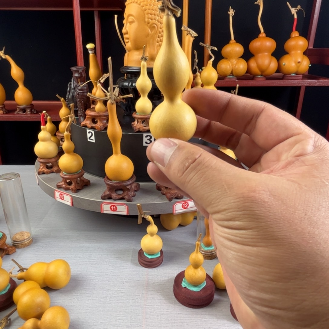 Z***o藤木我的小可爱，一点也不像个女孩