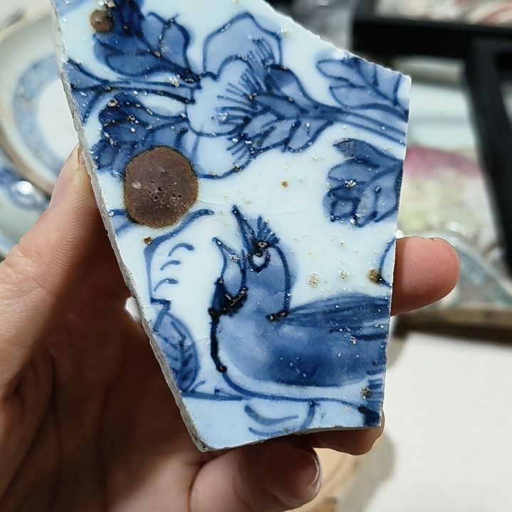 瓷片瓷片瓷片瓷片瓷片