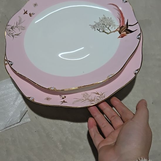 瓷片微瑕奥维百鸟10寸2个大盘666666