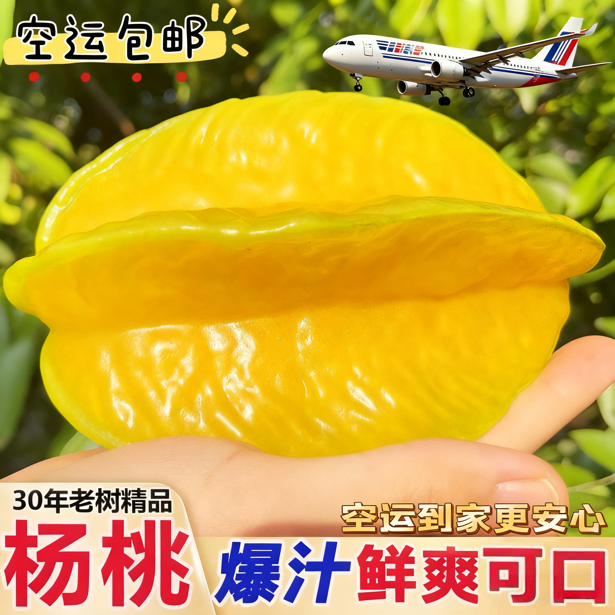 空运包邮现摘现发下河树上熟香蜜甜杨桃孕妇水果产地直发可