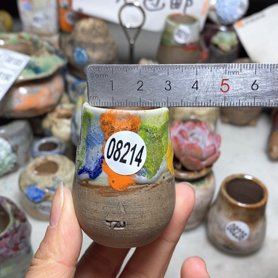 花盆拍5送一个小礼物