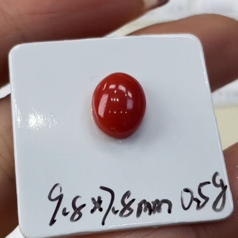 天然宝石红珊瑚裸石