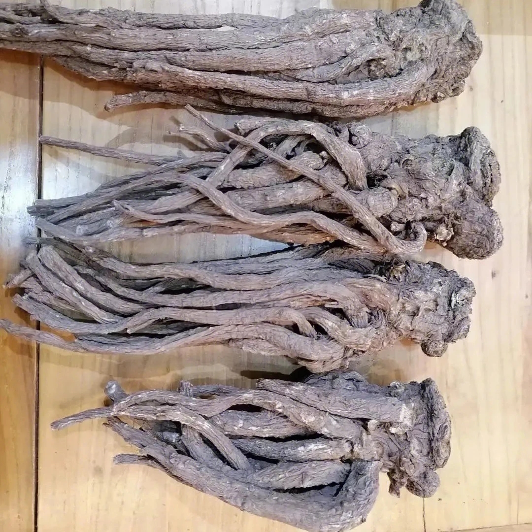 【凤雏】云南下山全枝当归