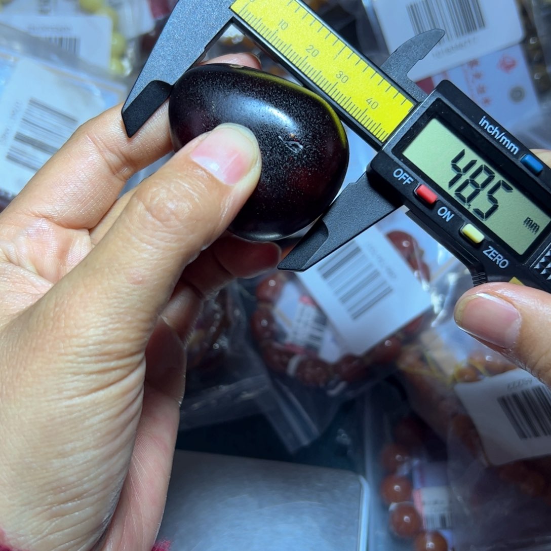 琥珀珠宝奇石未镶嵌491