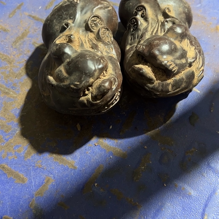 香榧木988888888888888