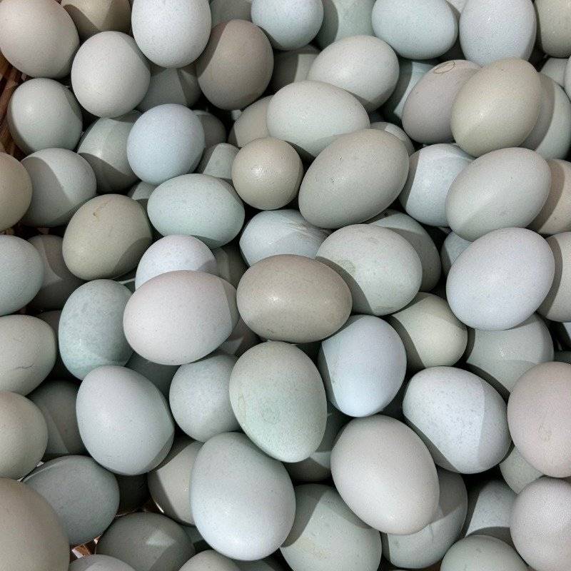 Y乌鸡蛋约500g