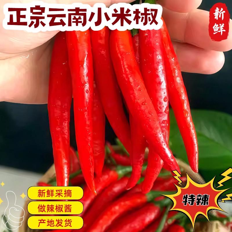 【新鲜】云南特辣小米椒农家自种可以做剁椒泡椒蔬菜辣椒产地直发