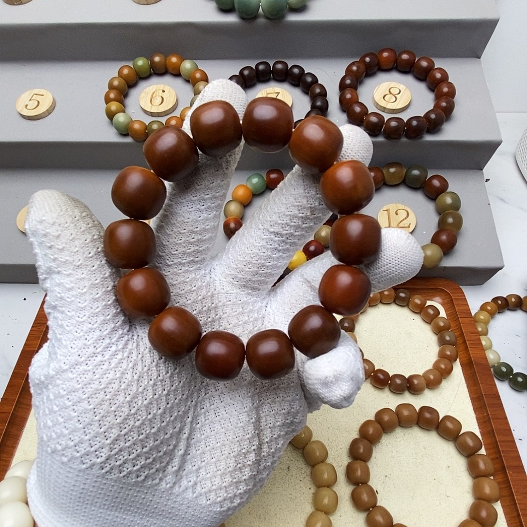 海***花菩提根/象牙果手串