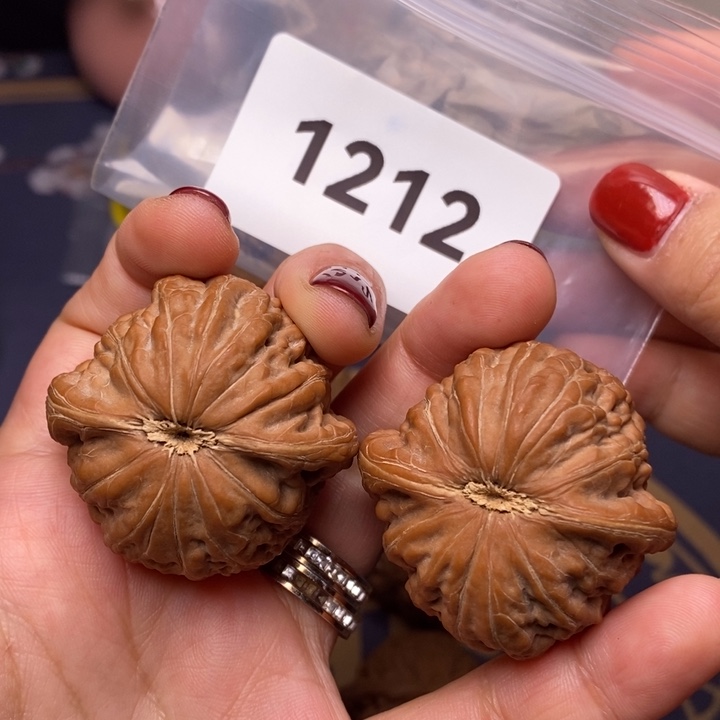 核桃41尺红皮铁锤妹妹