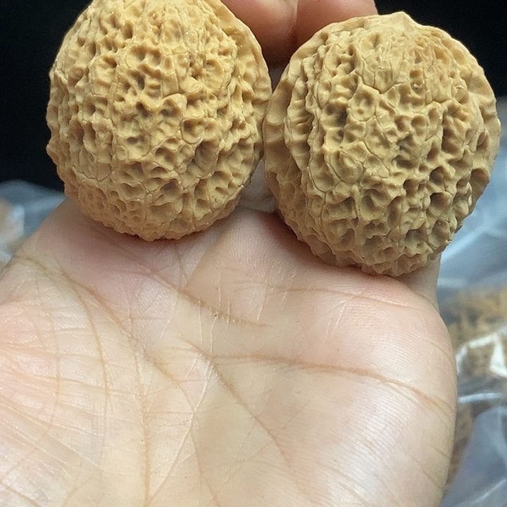 把件文玩核桃云南铁核桃基地100