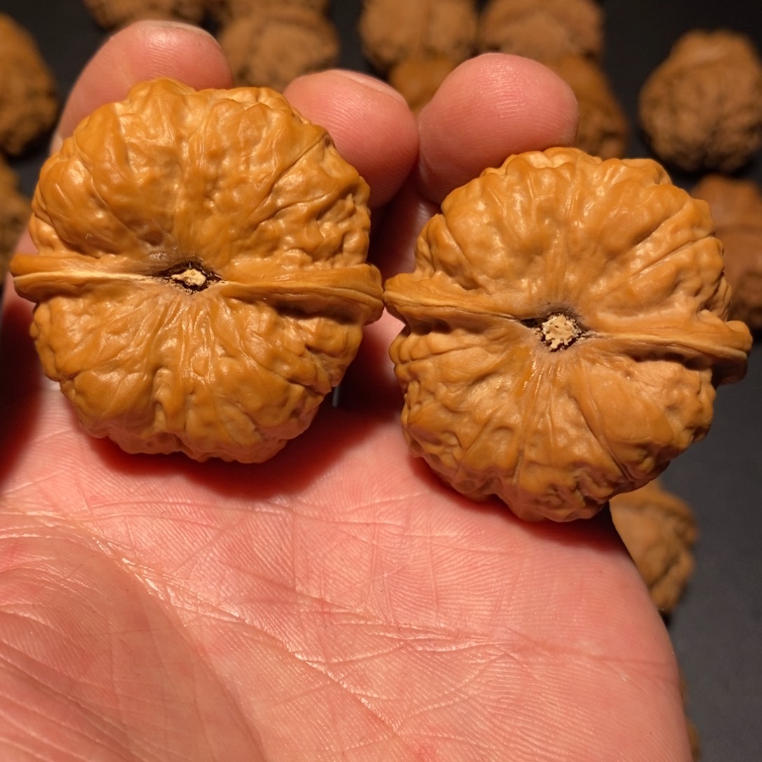 B***缺文玩核桃把件蛤蟆尺寸41全品