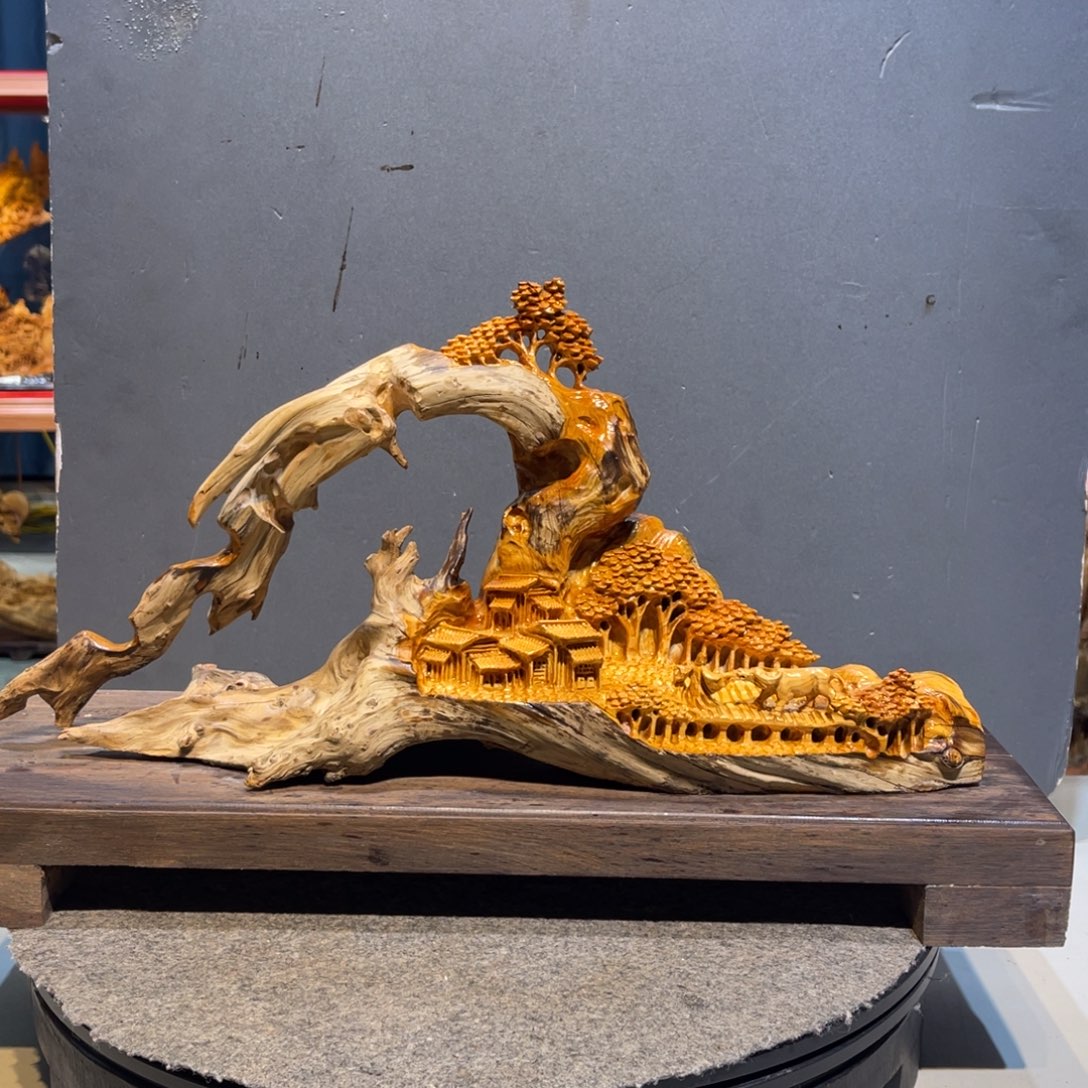 柏木崖柏1111111111