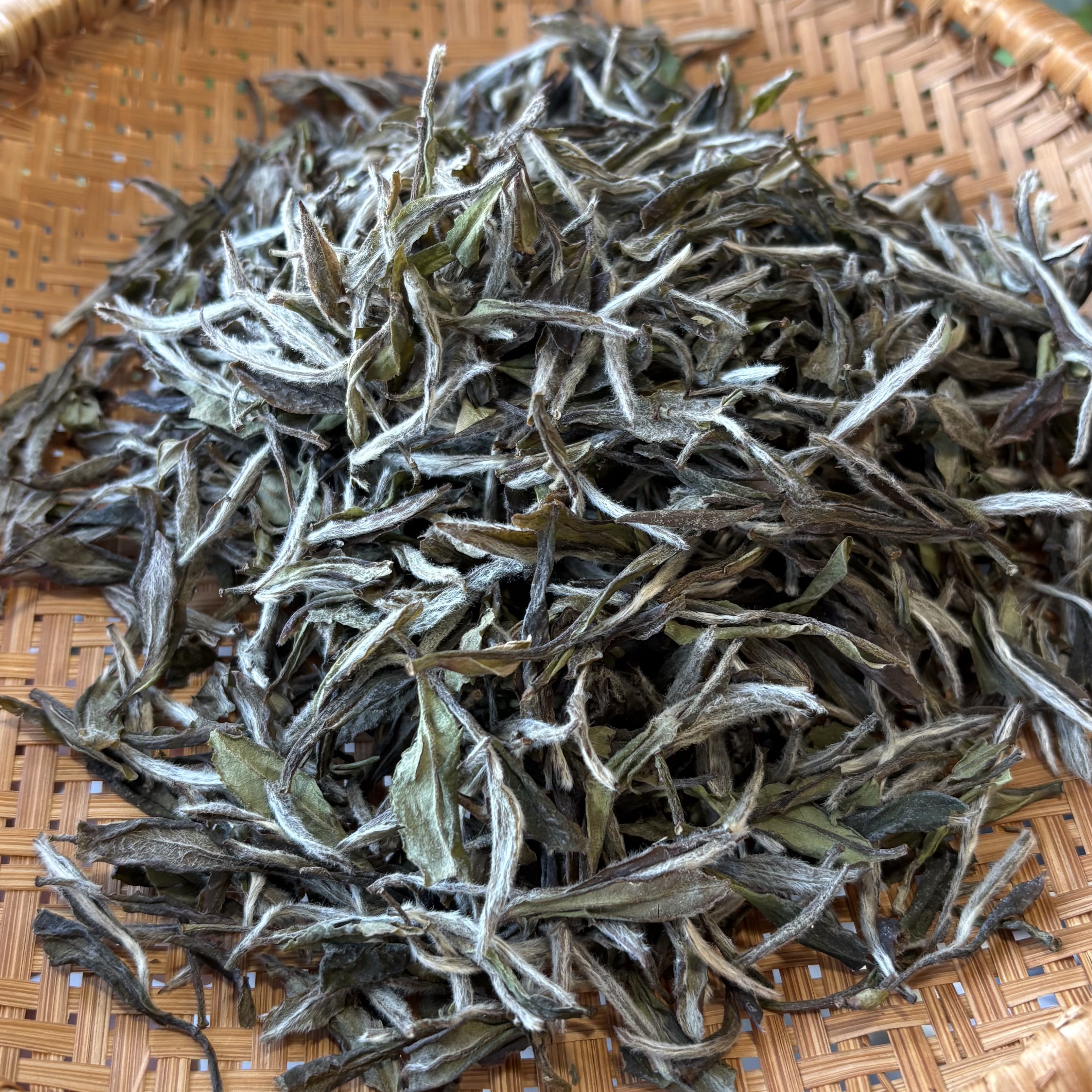 福鼎白茶-2021-一级牡丹-[沁雪亭]