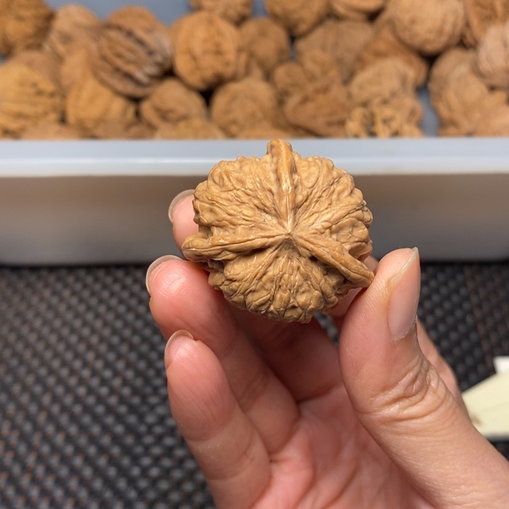 挪***林吊坠文玩核桃文玩核桃异形单只