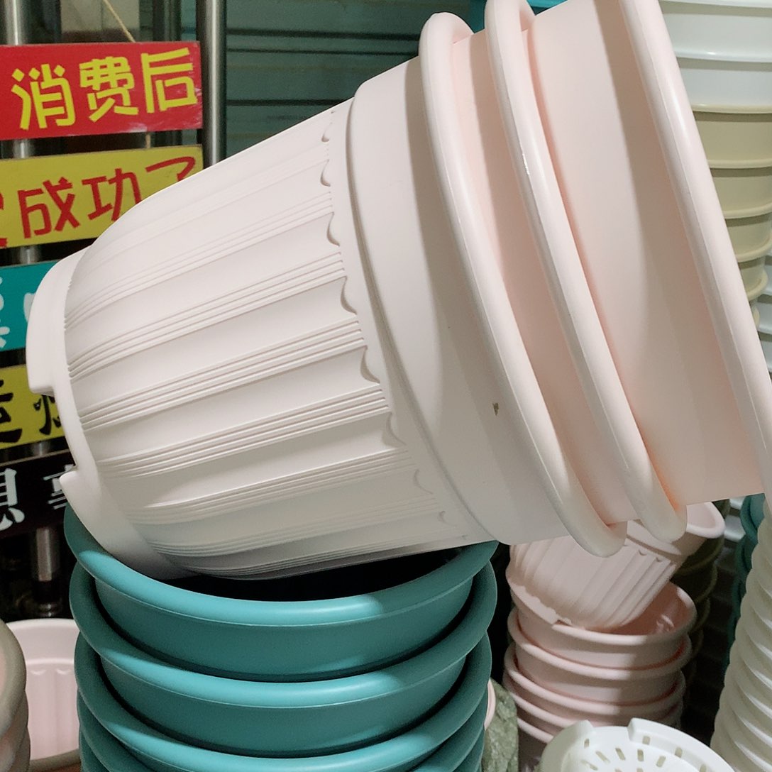树脂罗马口32粉3个带托