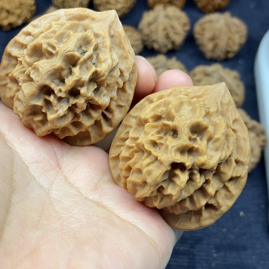豌*秦岭核桃帝王大花14号链接141414