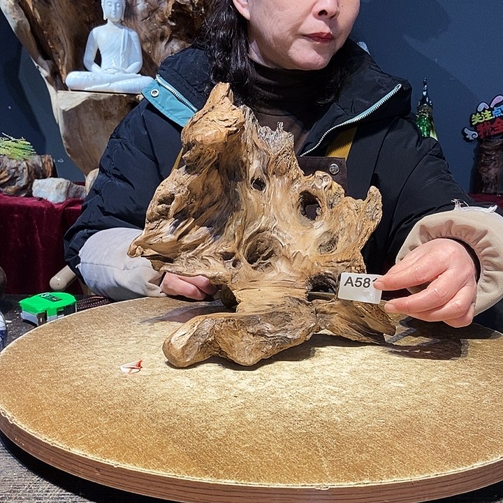 上****声581。株木随行小根艺