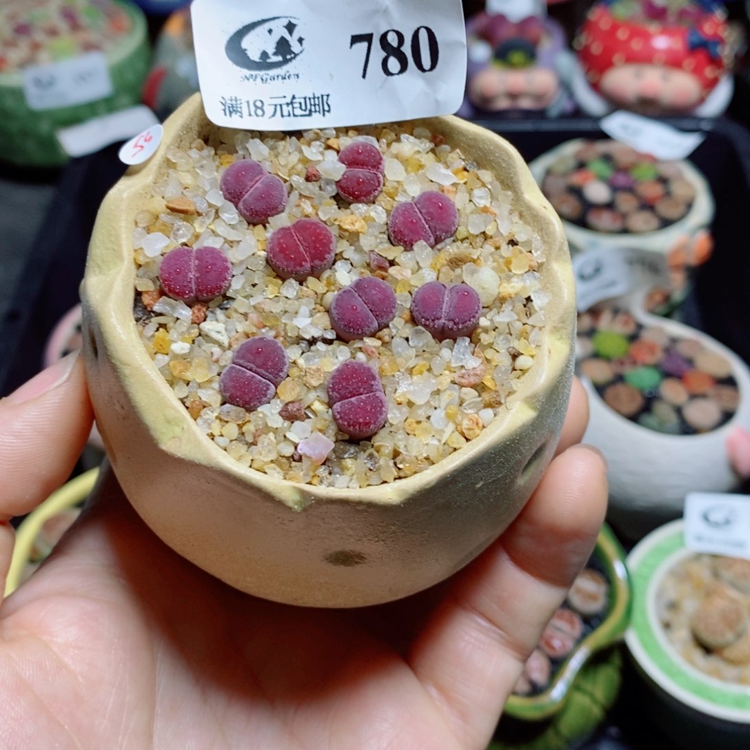 小***e我也不想说我的微博是什么时候780