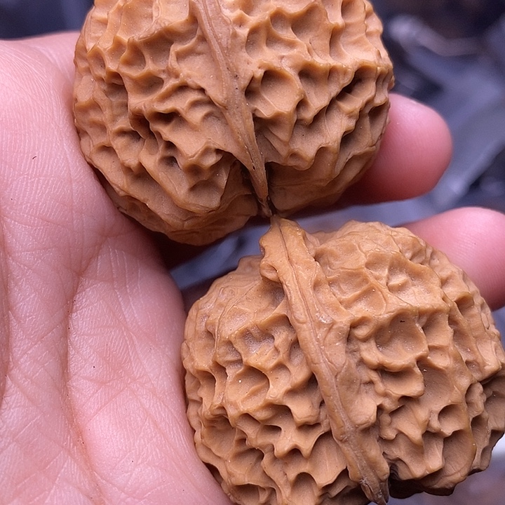 文玩核桃把件   68