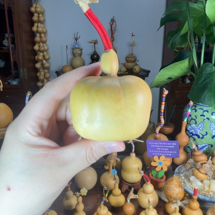 方钱袋型葫芦葫芦