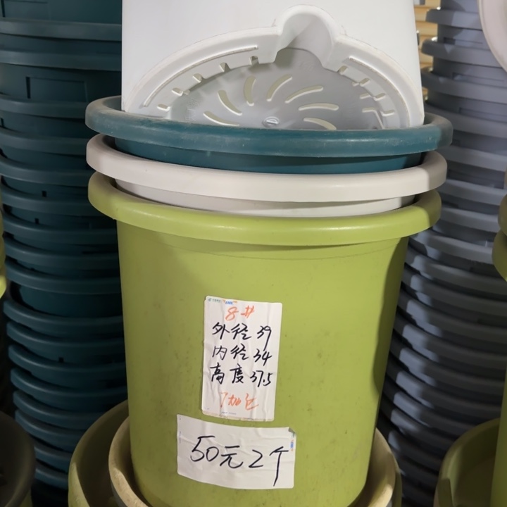 四季8#口径39无托灰白5个