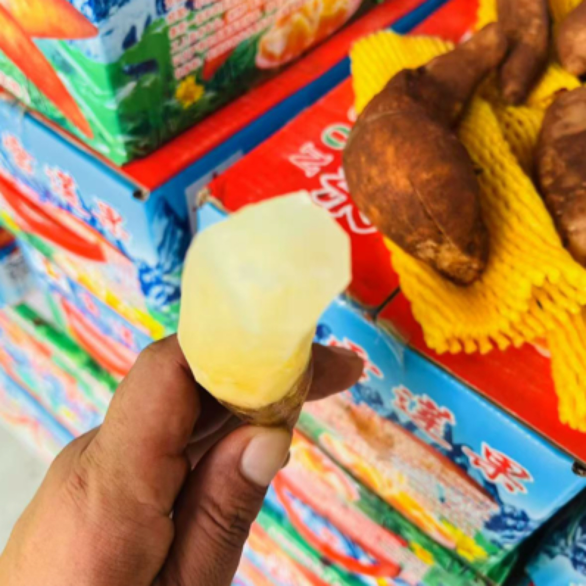 精品水果 雪莲果一箱 G
