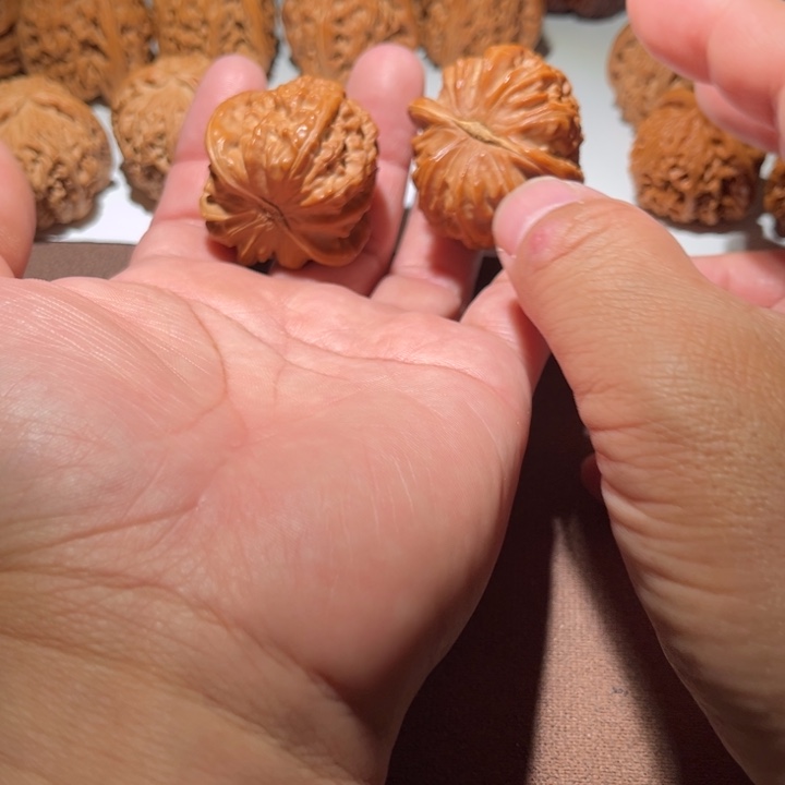 冰***、精品白狮子42尺寸