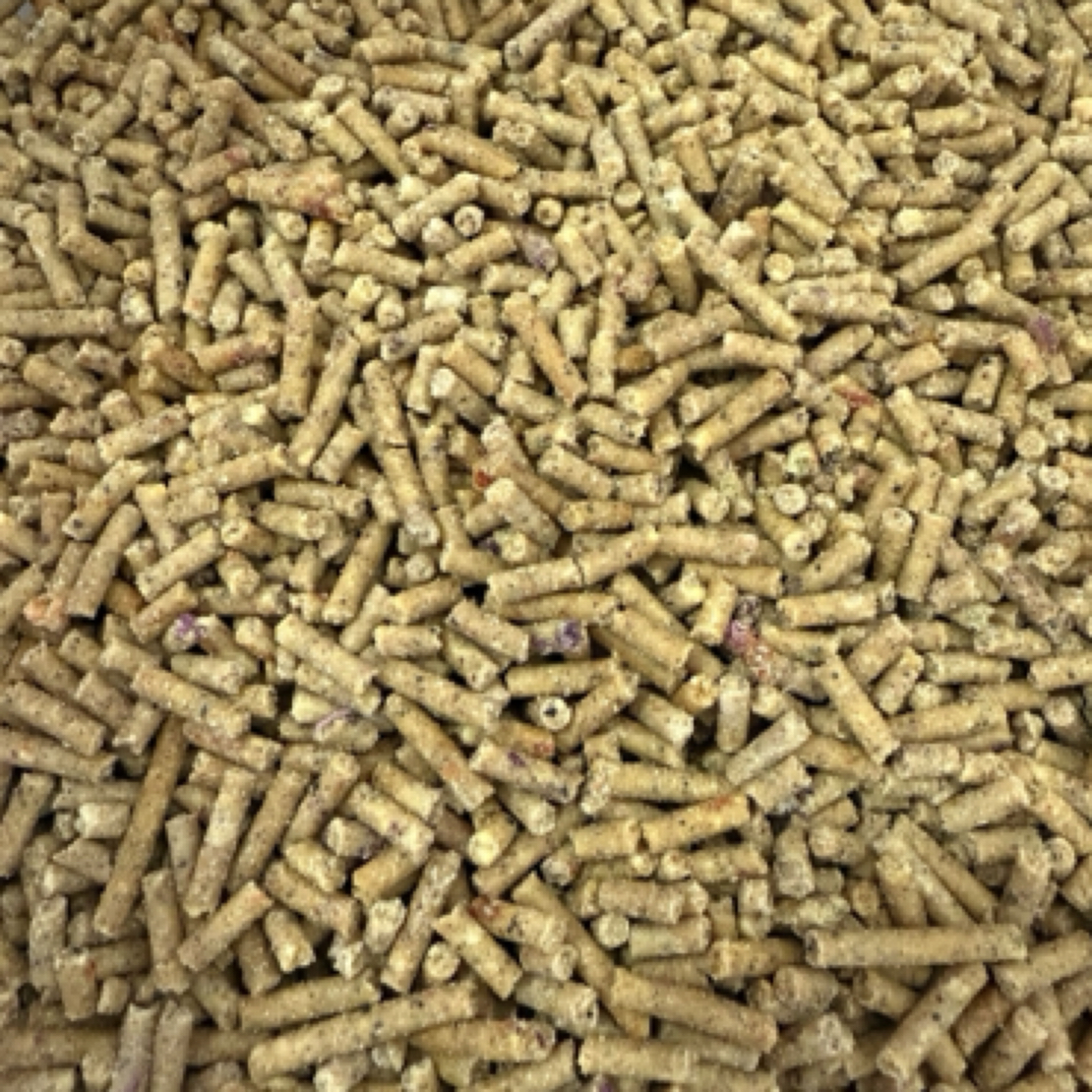 所有鹦鹉都能吃的营养粮