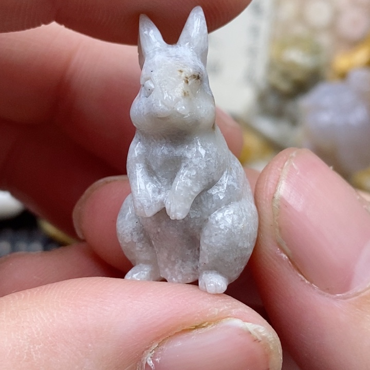 颈饰未镶嵌硅化珊瑚（珊瑚玉）有瑕