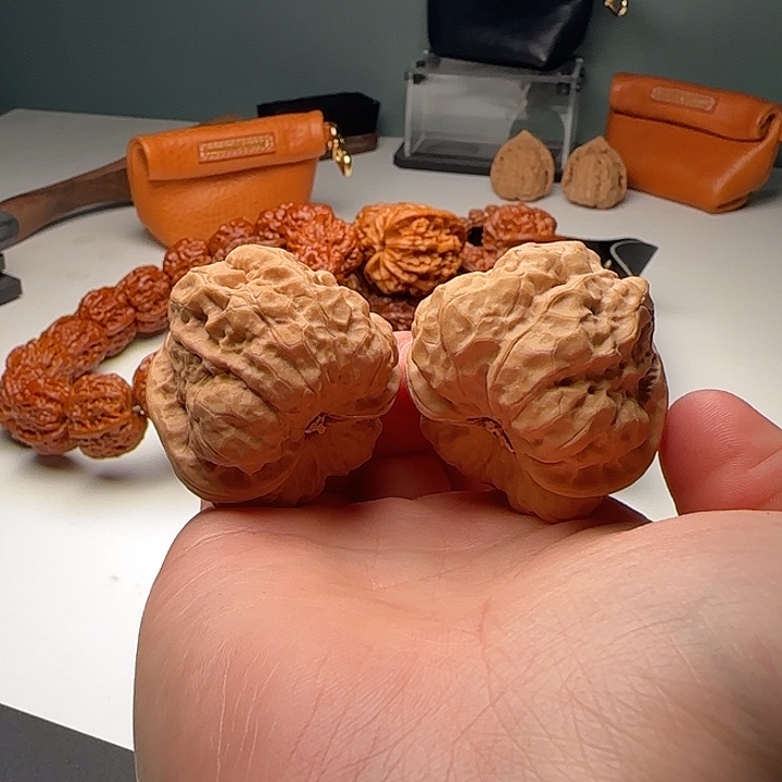 40-42-35肌肉蛙蟾型好开背C17号