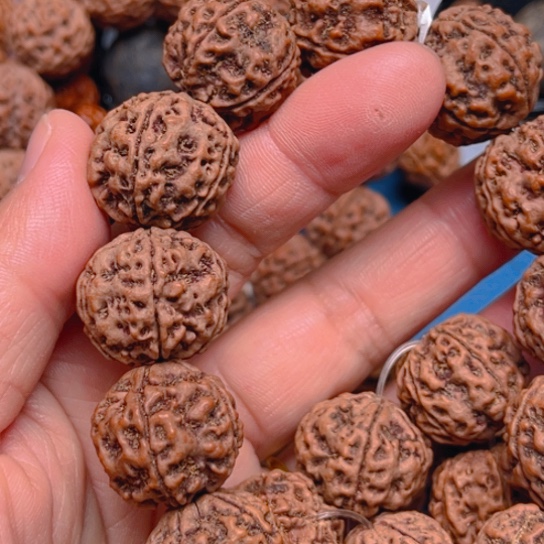 金刚菩提手串L122/22/5