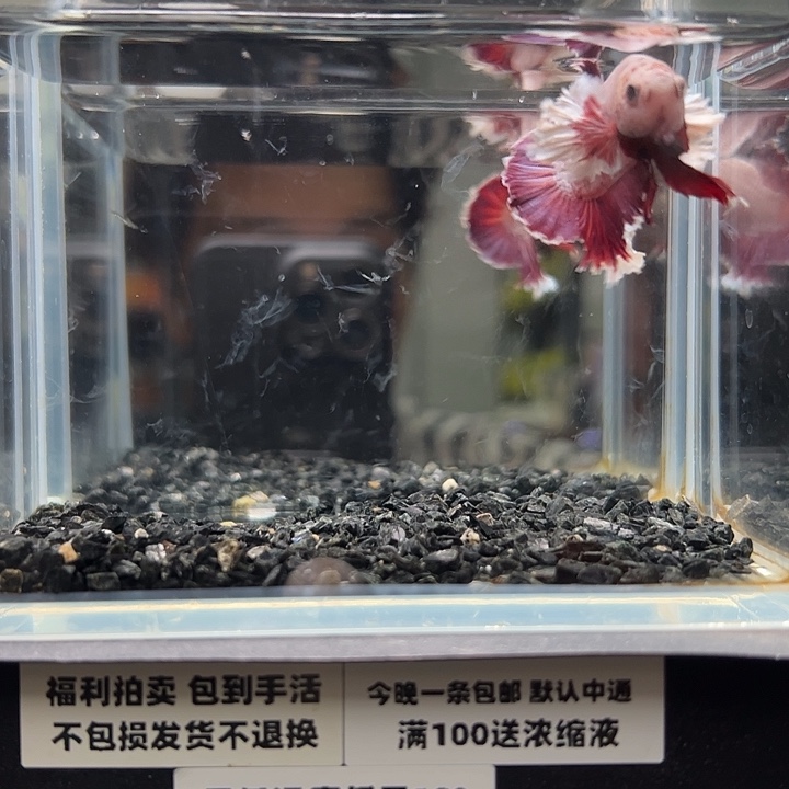 斗鱼跑单拉黑9日101