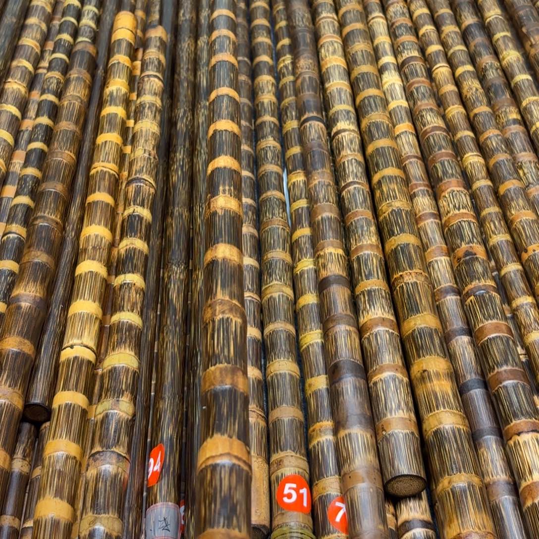 1.2米2.3粗高品实心金丝竹