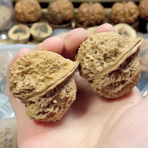 文玩核桃把件朱雀带彩磕尖43