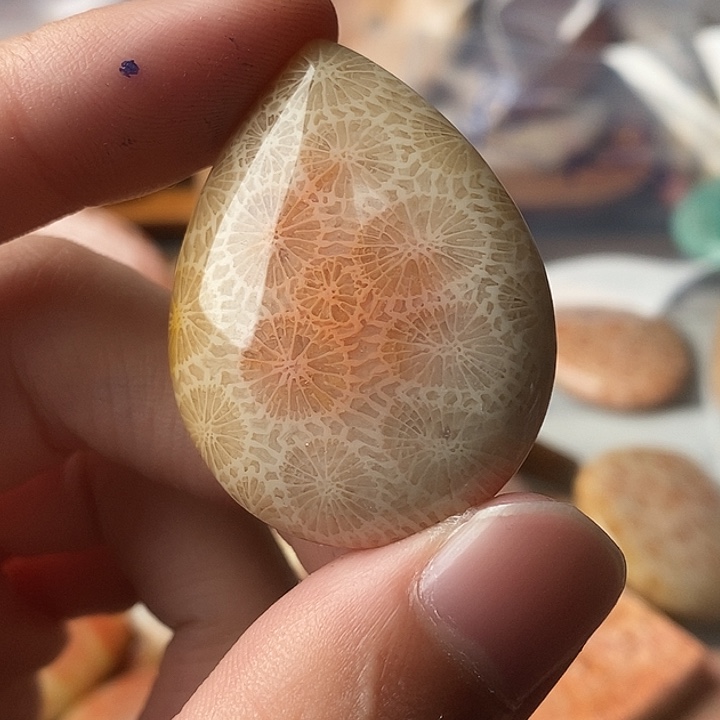 W****硅化玉未镶嵌颈饰