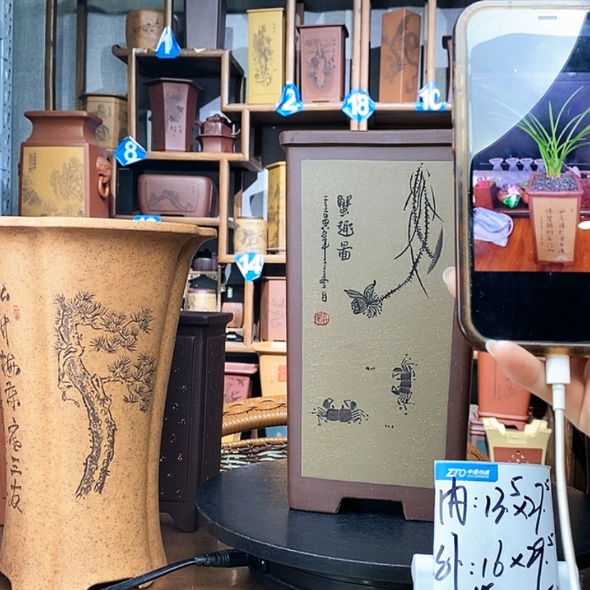 【闪购商品】紫砂阳光老师特价