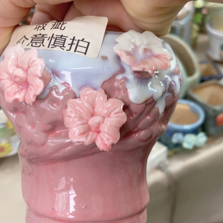 【闪购商品】红陶福利