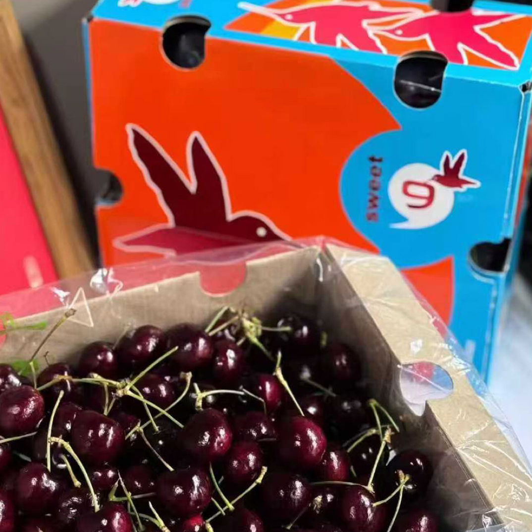 海运九头鸟智利车厘子桑提娜4J原箱2.5kg桑提娜智利